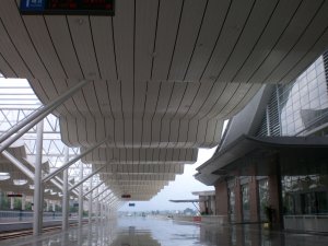 条扣天花多宝网投